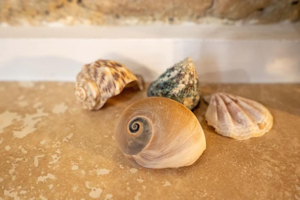 L'Antica Voltina Apartment Nettuno Bagian luar foto